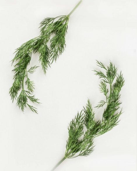 herbes